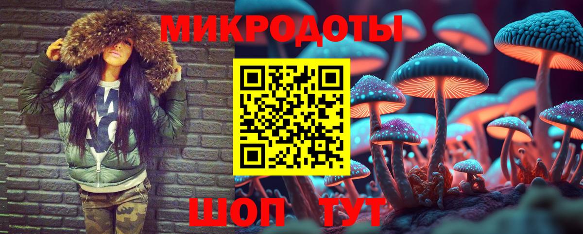 Галлюциногенные грибы GOLDEN TEACHER Владимир